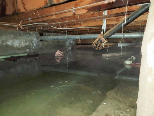 Trusted Big Spring, TX Water damage restoration Experts