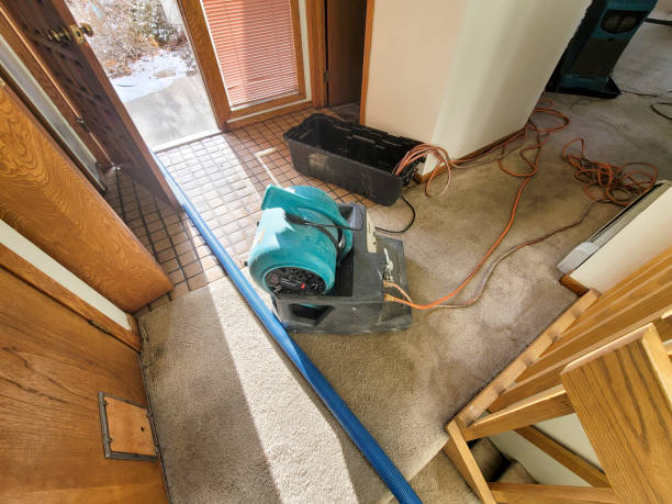 Best Water damage restoration near me  in Big Spring, TX