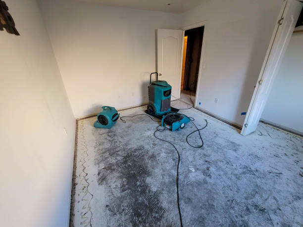 Best Flood damage cleanup  in Big Spring, TX