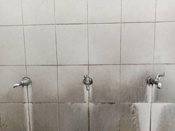 Best Water damage restoration specialists  in Big Spring, TX