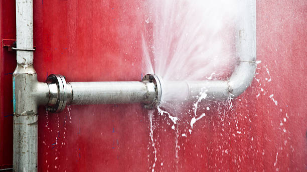 Best Professional water damage repair  in Big Spring, TX